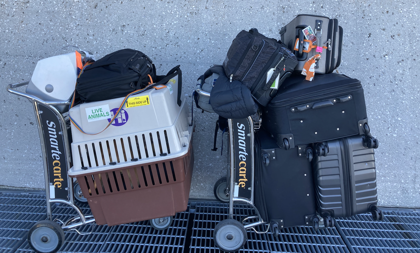 Two airport carts filled with luggage and a large dog carrier on the way to Portugal