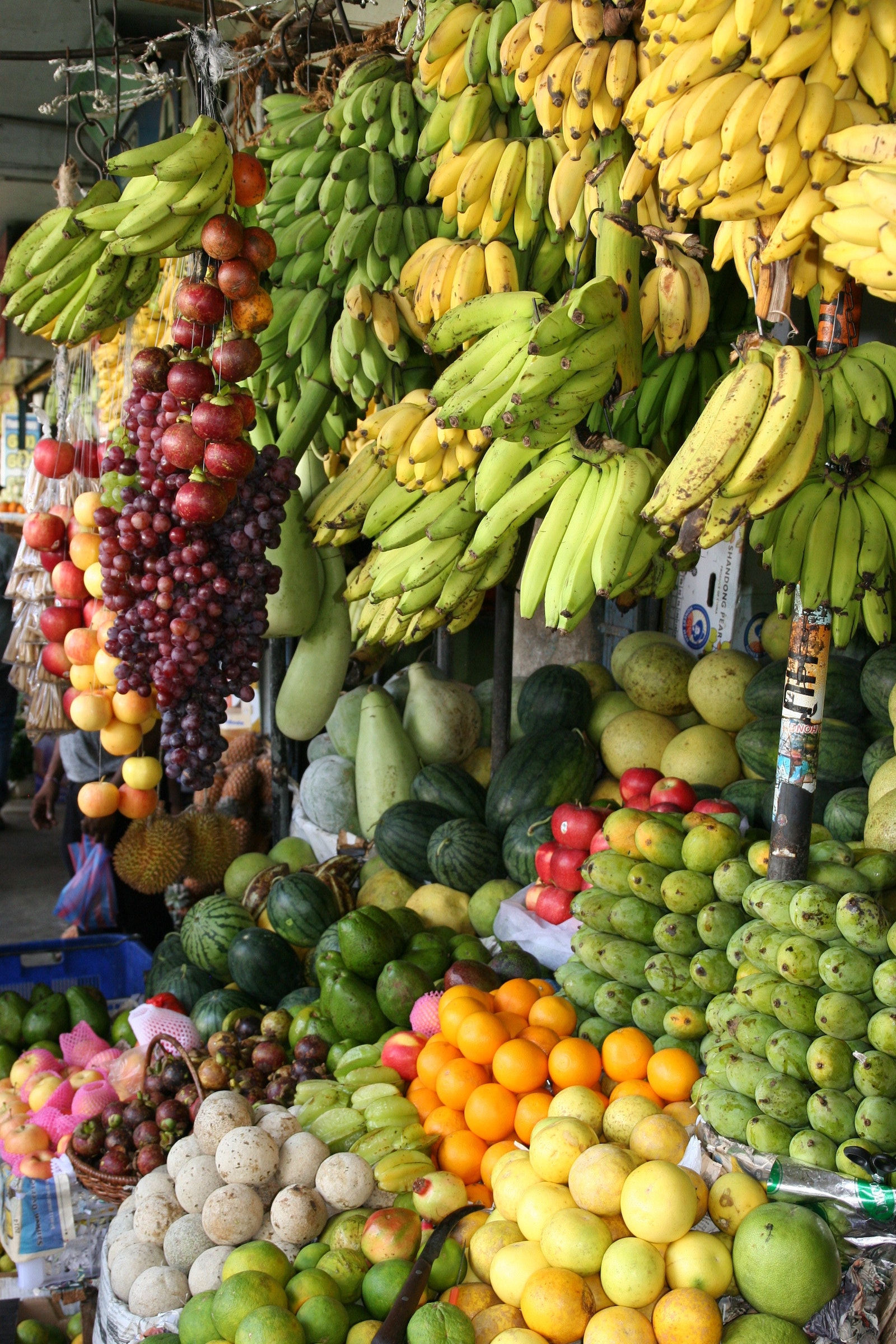 selection of fresh fruits and vegetables hanging up