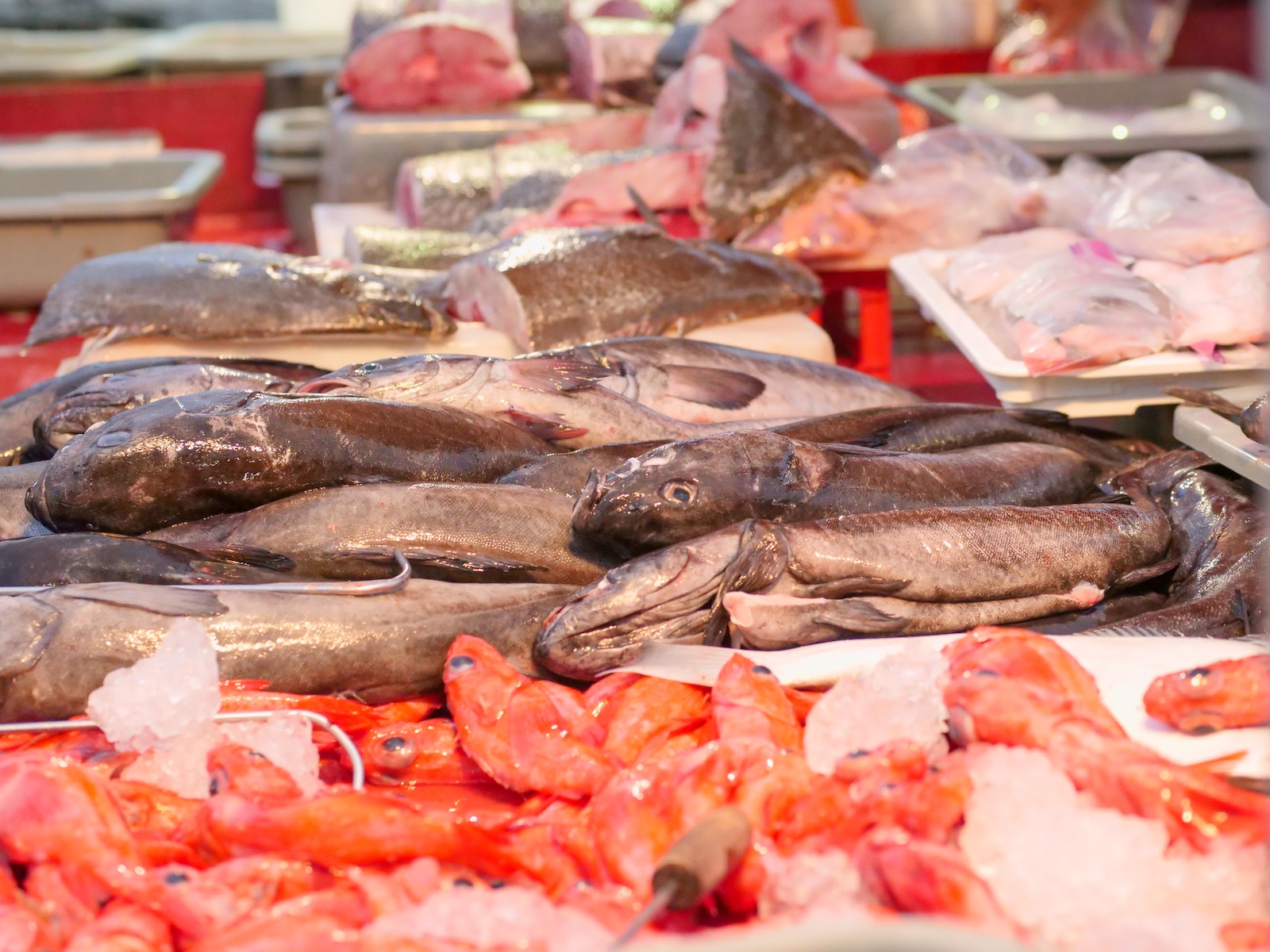 several different kinds of fish on ice at the market